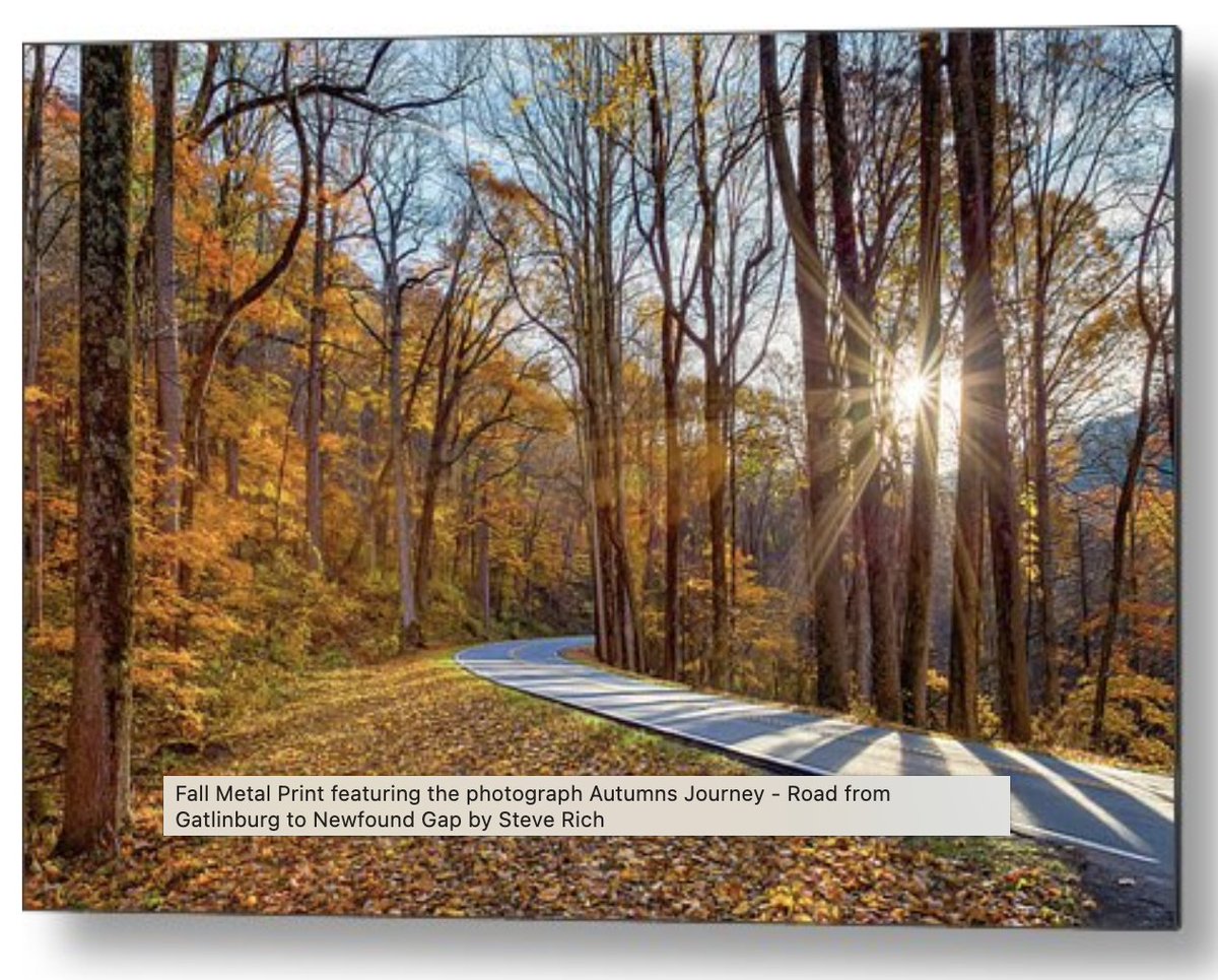 SteveRich_Photo's tweet photo. Autumns Journey - Gatlinburg to Newfound Gap
https://t.co/bPIniJ5IZt
#AutumnVibes #FallFoliage #SmokyMountains #NaturePhotography #GatlinburgTN #ScenicDrive #MountainViews #RoadTripViews #ColorfulLeaves #ExploreTennessee #AutumnMagic #FallColors #NatureLovers #SeasonalBeauty https://t.co/scBuOYImDB
