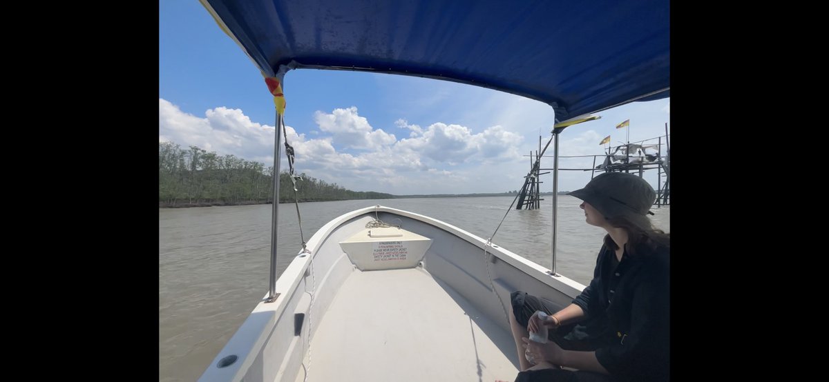 Congratulations <a href="/SophieLCollier/">Sophie Collier</a> on a top notch exposition of Plasmodium organelle inheritance at #ICTMM Borneo, hot on the heels of being awarded her PhD