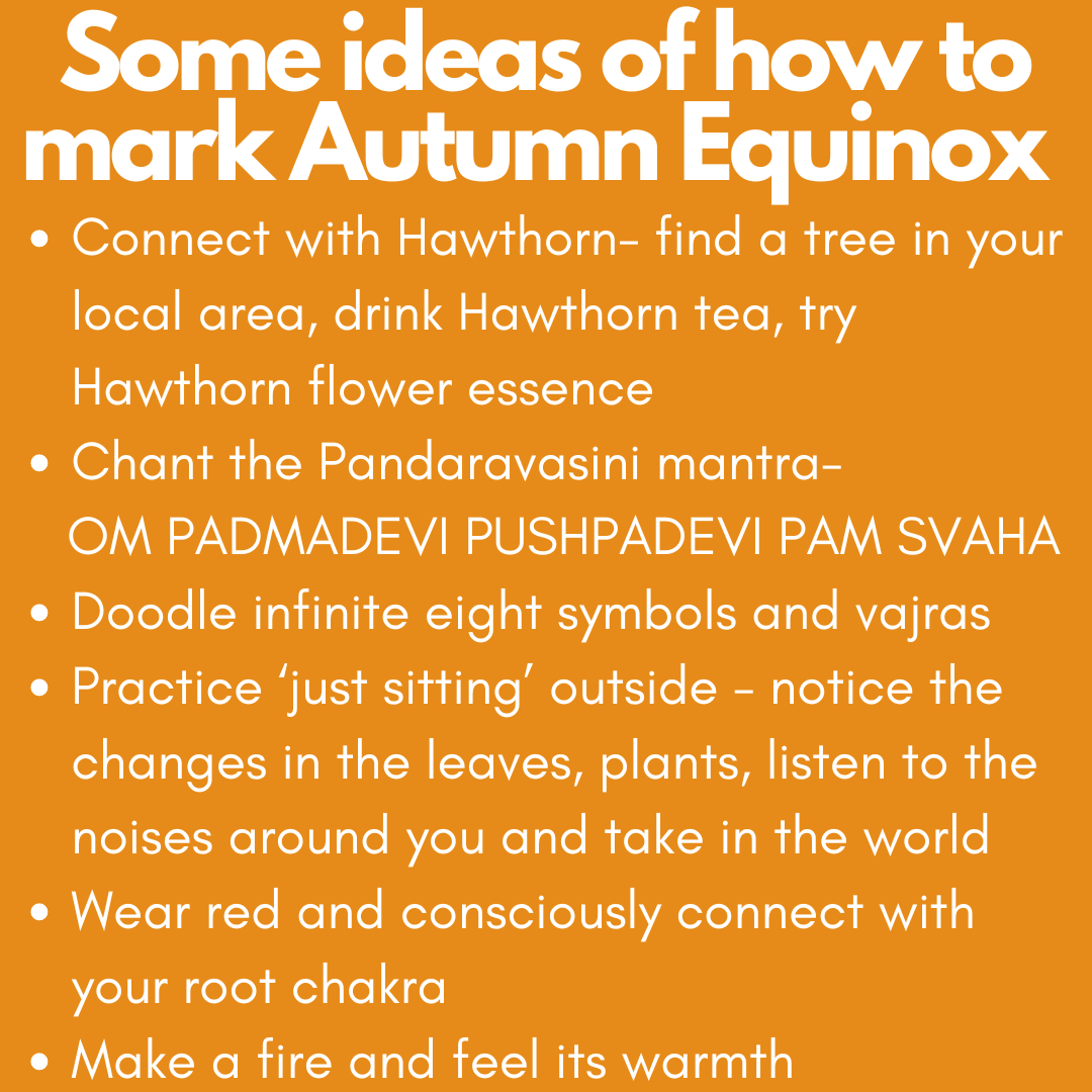 BuddhafieldUK's tweet photo. 🍂Blessings of balance this Autumn Equinox🍂 - https://t.co/zF2cUDax3k https://t.co/MK5apG8FSq