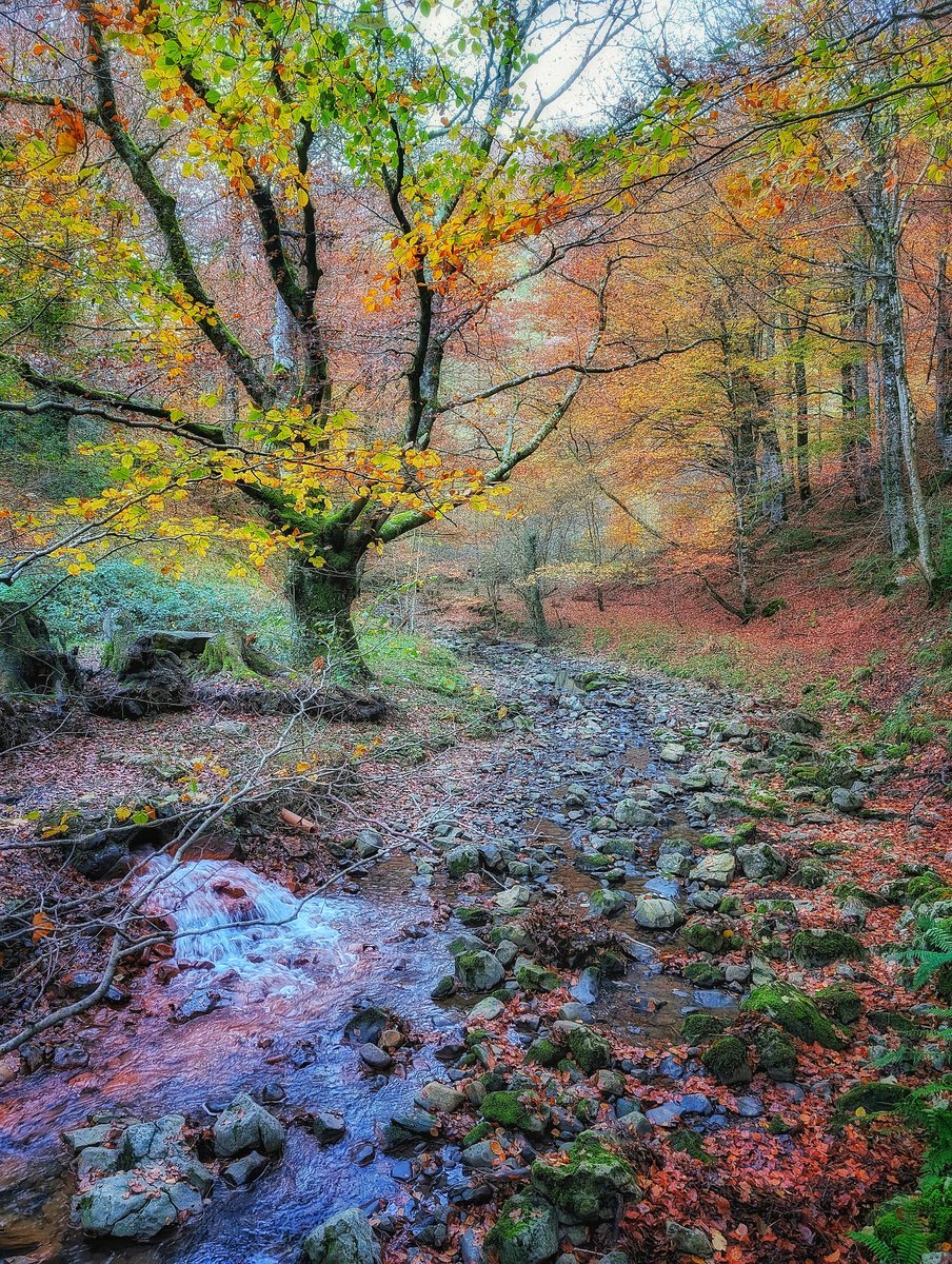 A las 14:44h estaremos oficialmente en otoño 🍁🍂 una de las épocas más bonitas para recorrer el monte ⛰️ 
.
📍 Adarra