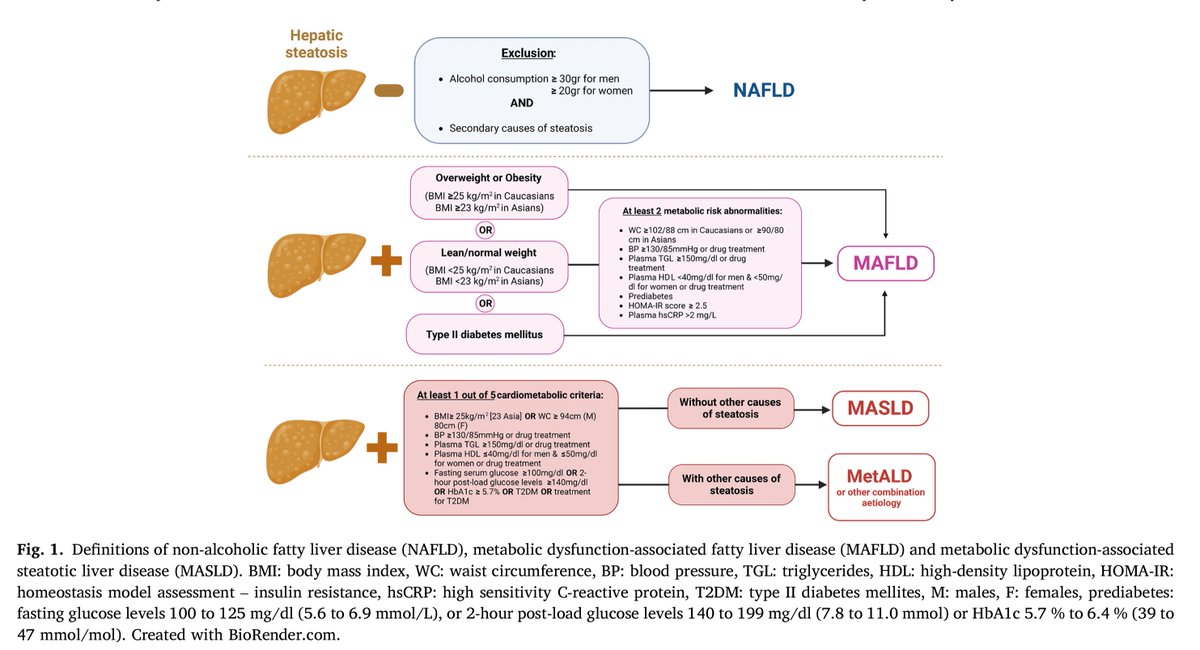 scottisaacsmd's tweet photo. Definitions of non-alcoholic fatty liver disease #NAFLD, metabolic dysfunction-associated fatty liver disease #MAFLD, metabolic dysfunction-associated steatotic liver disease #MASLD and Met-ALD.
https://t.co/Bj6nstxCFx https://t.co/tq1uh2OQV1