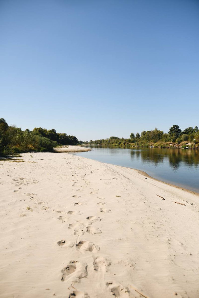 Raspberry_Rum_'s tweet image. 