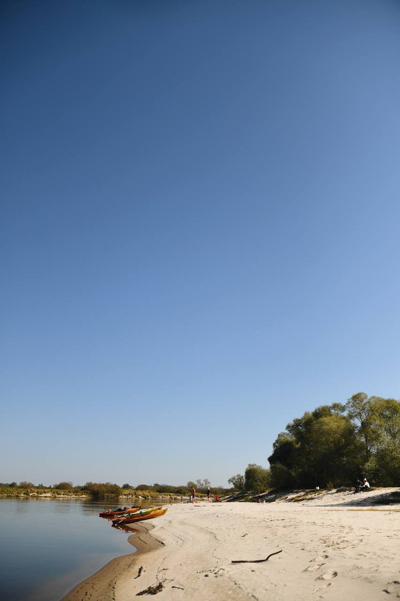 Raspberry_Rum_'s tweet image. 