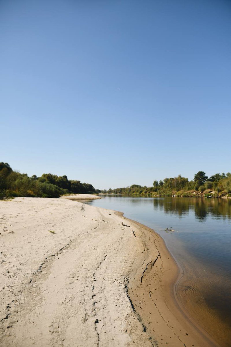 Raspberry_Rum_'s tweet image. 