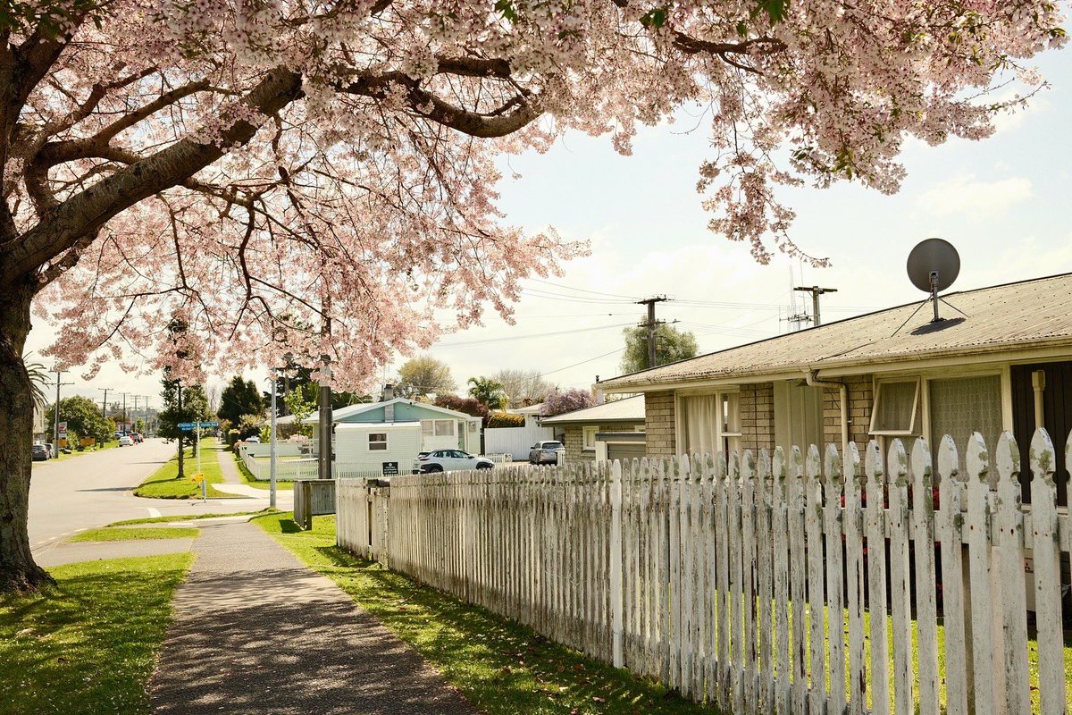 Narsuuuu's tweet photo. #nzspring
#fujifilmx100vi https://t.co/jlQKUHpx8J