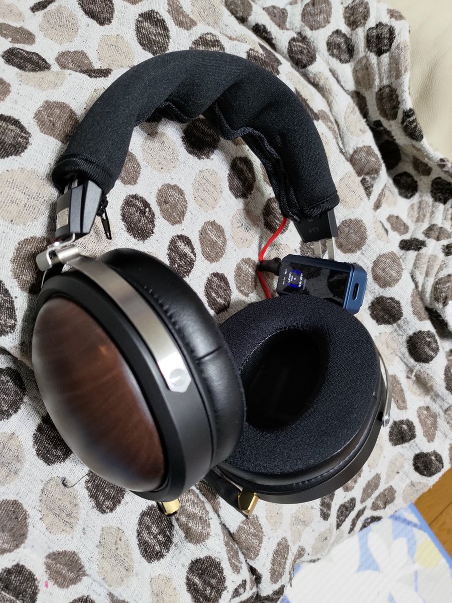 rarure_'s tweet photo. Fiio FT1をBTR13で無線化。線材はベルデン。 https://t.co/gyoKCxo2QW