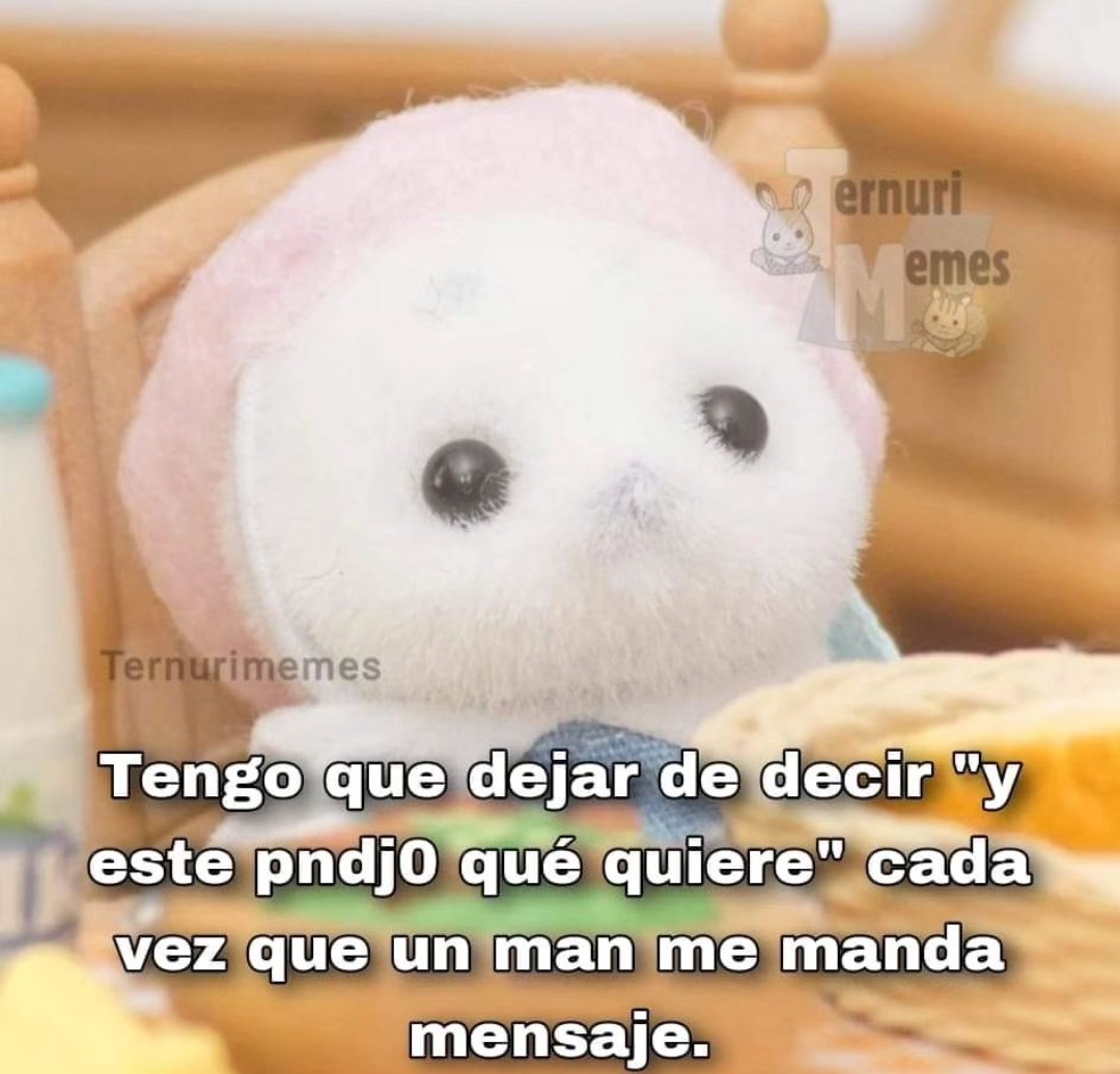 MiniAnimales's tweet photo. https://t.co/4hDZSjNmaq