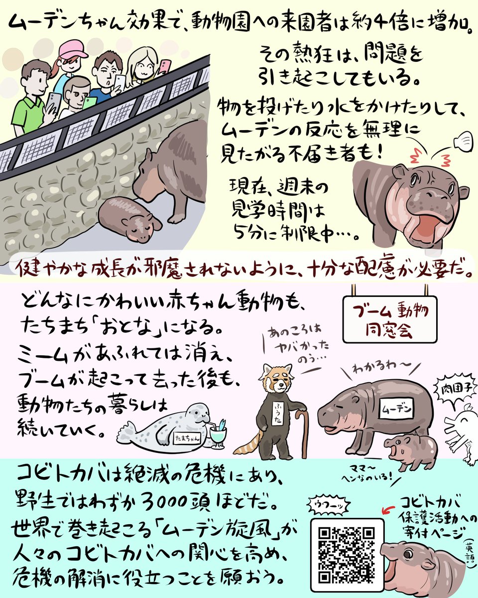 夏の終わりにインターネットを支配したのは、コビトカバの「ムーデン」ちゃん! せっかくのブームなのでコビトカバの生き様をチェックしましょう。
#いきものニュース図解