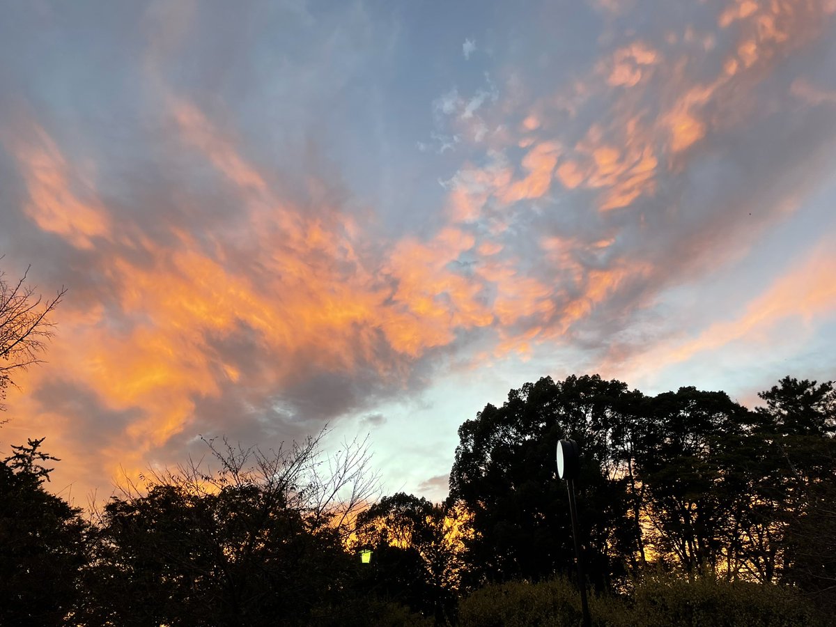 形も色も変え、自分の心模様が映る