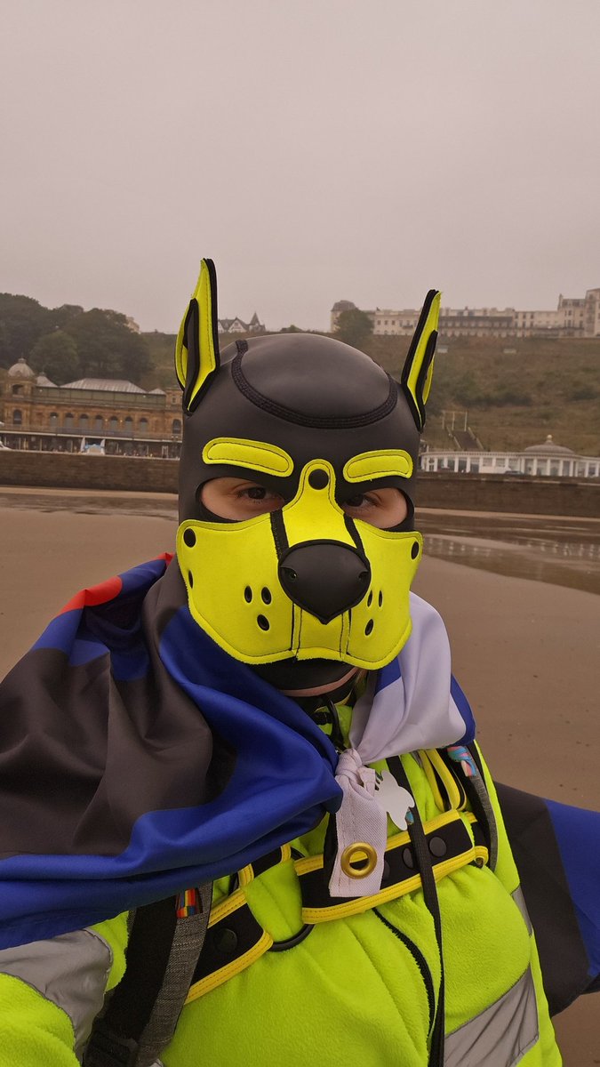 Pup Lowlander - Moved to Bluesky tweet media