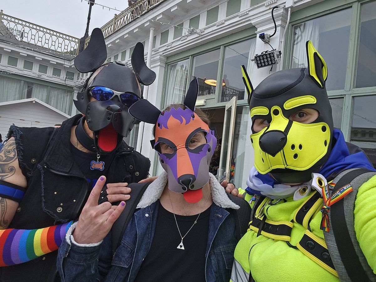 Pup Lowlander - Moved to Bluesky tweet media