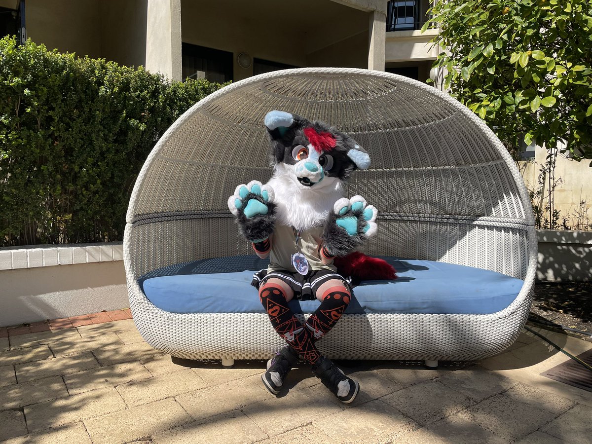 ArgentRaptor's tweet photo. Some great photos taken today at #WAFF2024 by people I should have gotten the names of https://t.co/ChOs4joIzN