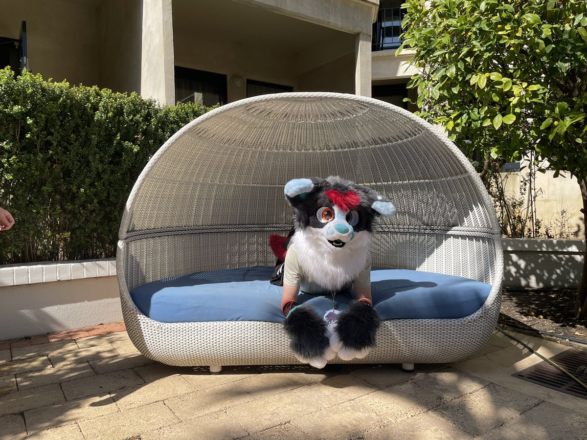 ArgentRaptor's tweet photo. Some great photos taken today at #WAFF2024 by people I should have gotten the names of https://t.co/ChOs4joIzN