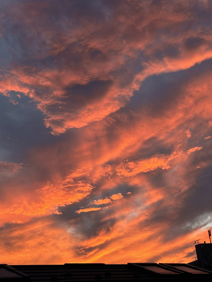 rachan68's tweet photo. 夕焼け　すごい色 https://t.co/C8f8IBJ6qT