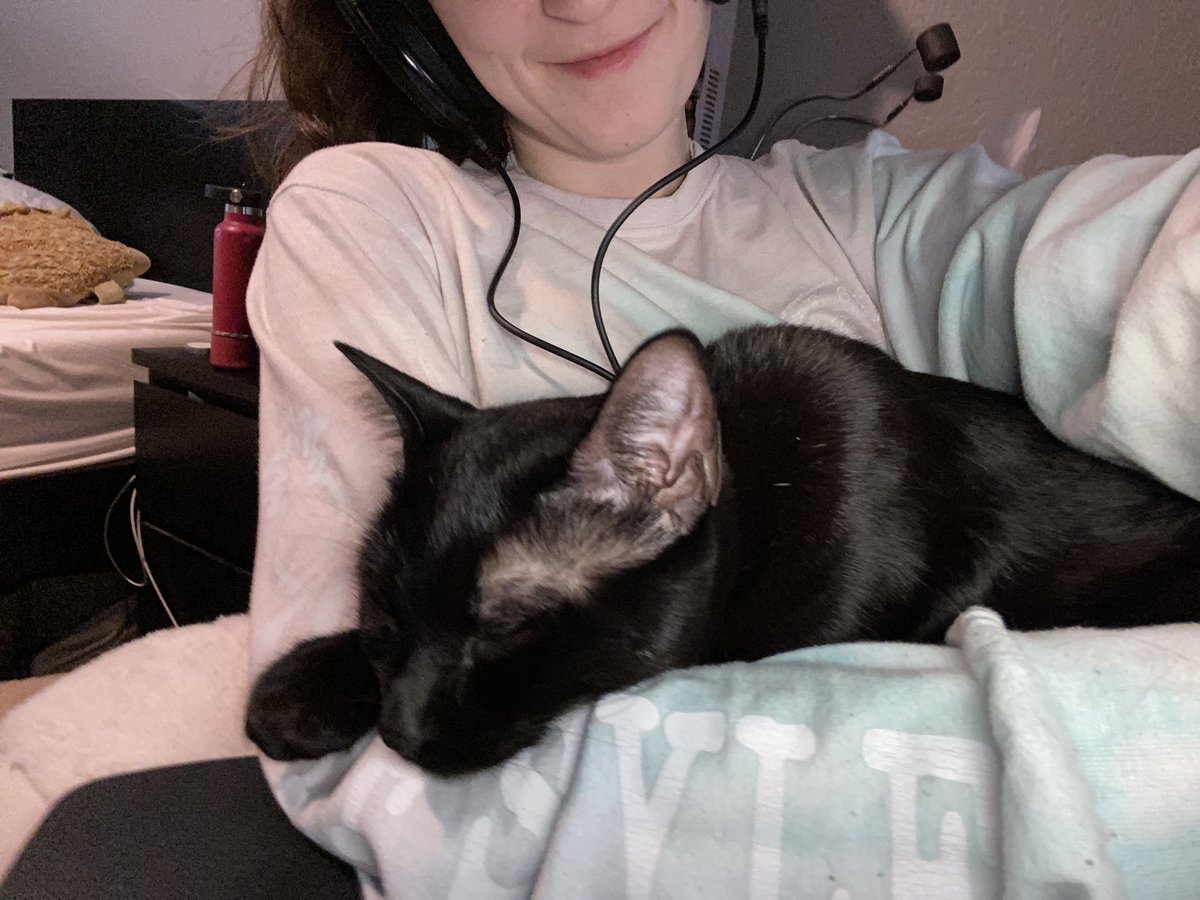 CelynaB's tweet photo. Mommy’s little lap cat 🥰🥰 this is why Sage is my favorite 💕💕 https://t.co/EoQQ4goFEW