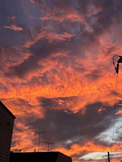 みんな空見てる 