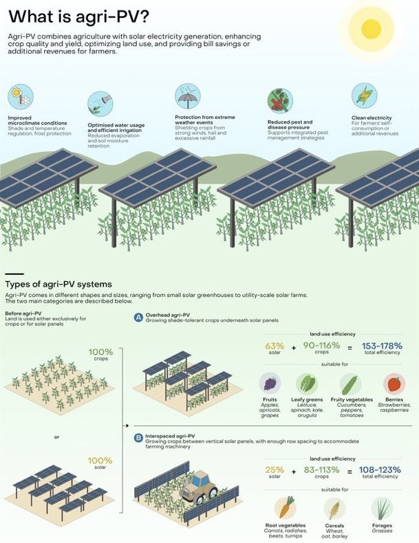 ASEMalawi2's tweet photo. #SunDay #DYK Agrivoltaics is set to take center stage in Botswana! Learn how our integrating solar energy with agriculture can enhance farm productivity &amp; drive sustainability. A true game-changer for the clean energy sector ! 🚜 https://t.co/UHrNJoiLmy