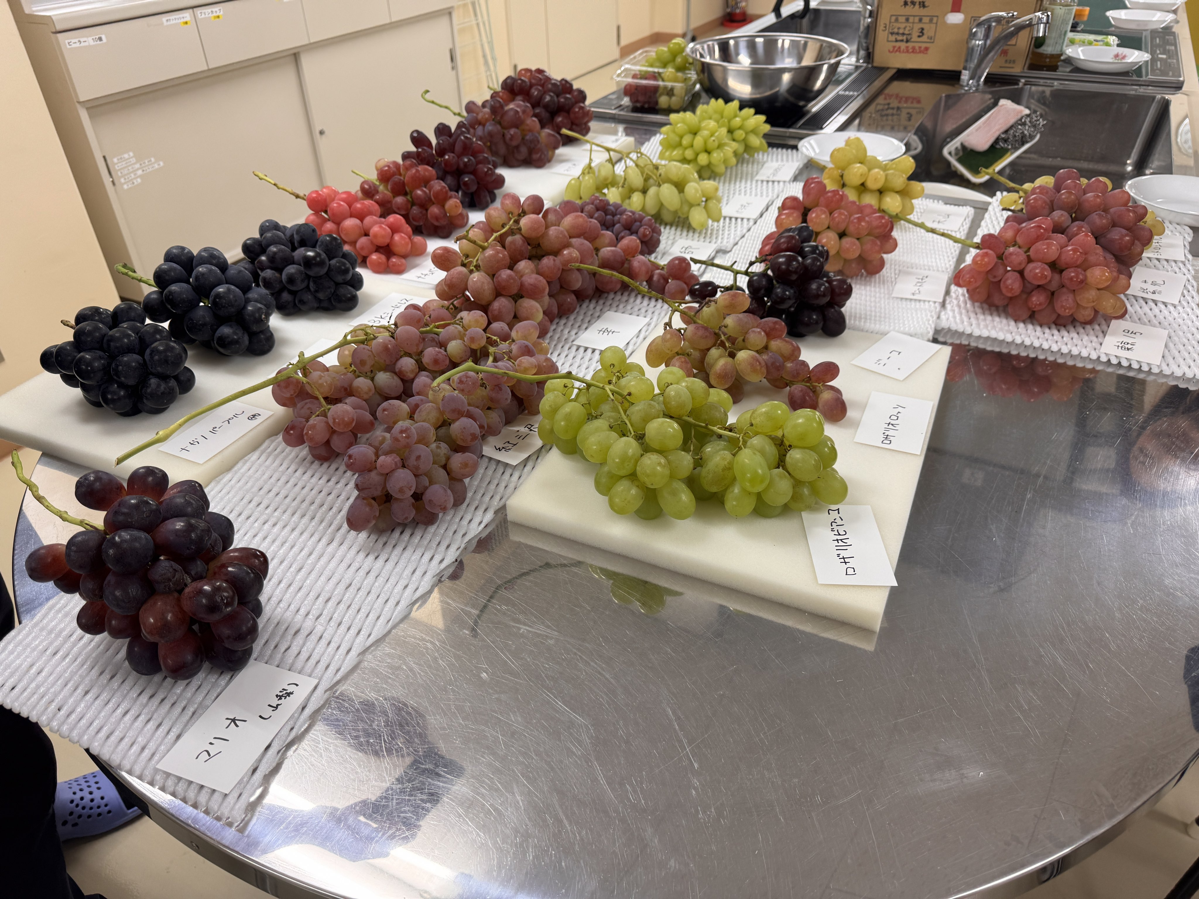 富士の輝きサンシャインレッド　ナガノパープル　我が道スカーレット　他色々　2kg 富士の輝きサンシャインレッド ナガノパープル 我が道