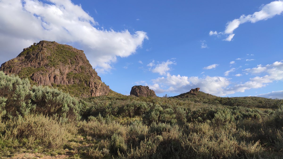 Beautiful Aberdare National Park, Kenya.