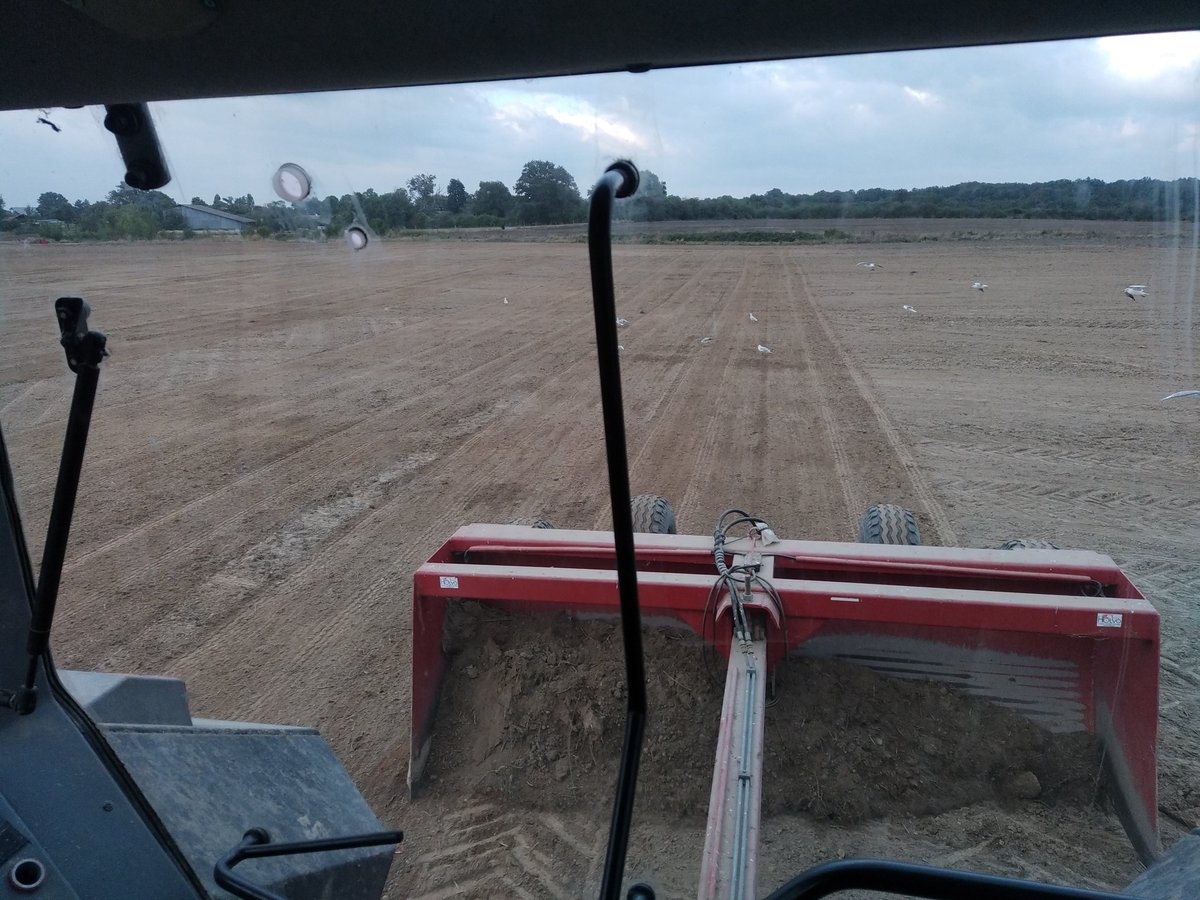 Les bases avant de commencer le SD : règle numéro 3 = mettre le champ à plat pour avoir une bonne qualité de travail du semoir et récolte. Ici anciennes planches de labour et ancien fossé encore présentes malgré de nombreuses années de TCS.