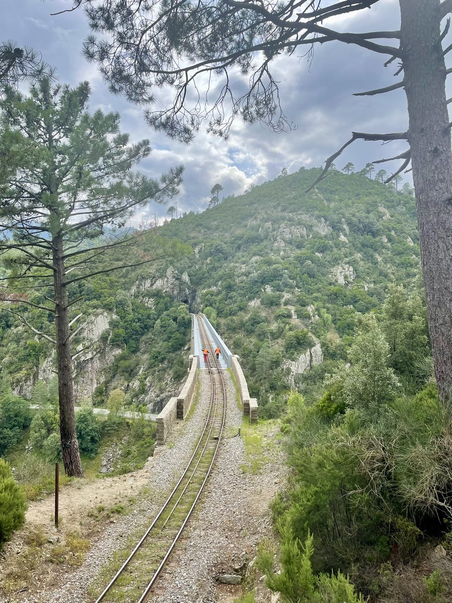 CFCORSE's tweet photo. [ Tournage pour l'émission « Great Continental Railway Journeys » 🎬 ]

Ce week-end, une équipe de la chaîne britannique BBC est venue découvrir et mettre en lumière le réseau ferroviaire corse 🛤️ et ses particularités 🏔️

Découvrez en exclusivité quelques images du tournage 📸👇 https://t.co/bvqzpBzxVP