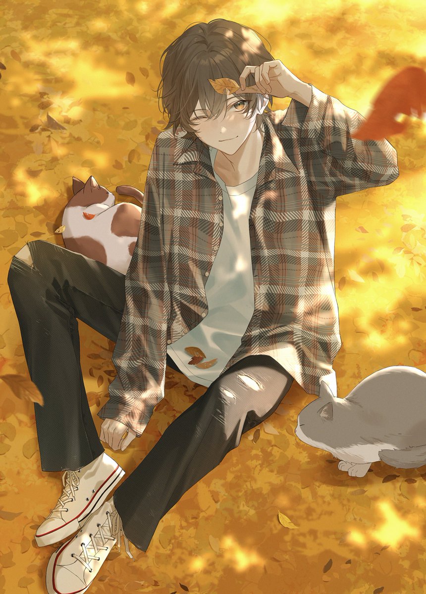 🍂🐈