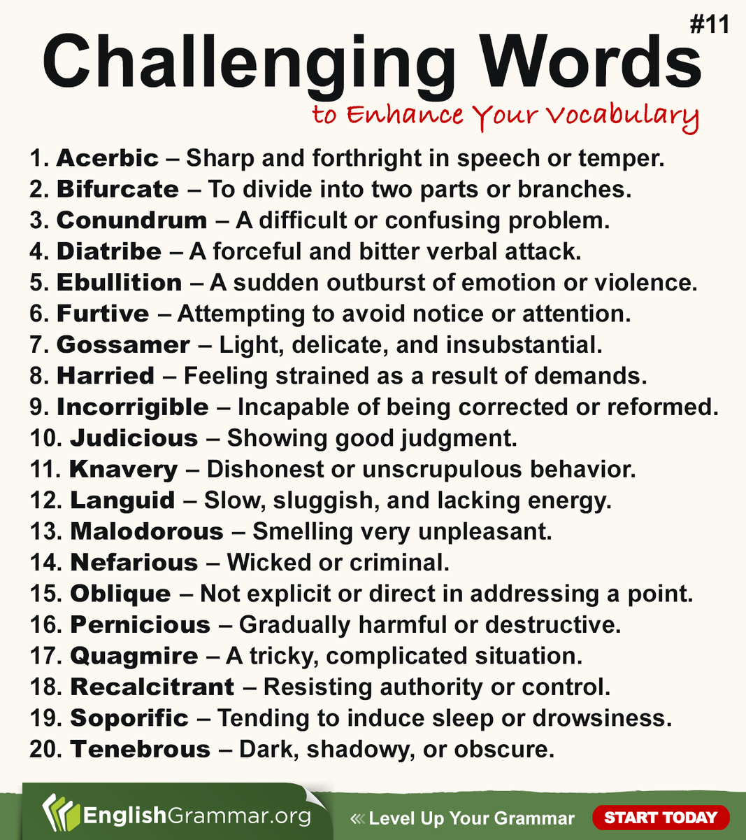 GrammarUpdates's tweet image. Challenging Words #11 #English #vocabulary