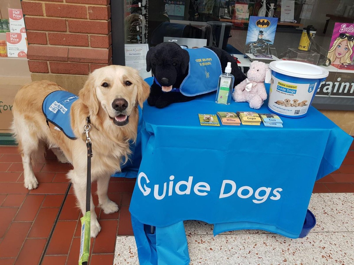 Bailey fundraising for <a href="/guidedogs/">Guide Dogs</a> when he was a puppy in training