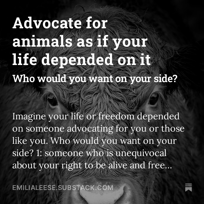 If your life, autonomy and freedom depended on it, who’d you choose to advocate for you? Someone who’s more concerned about the feelings and spending habits of those who are trying to take your life away or someone who defends you unequivocally? I know who I’d choose. My latest