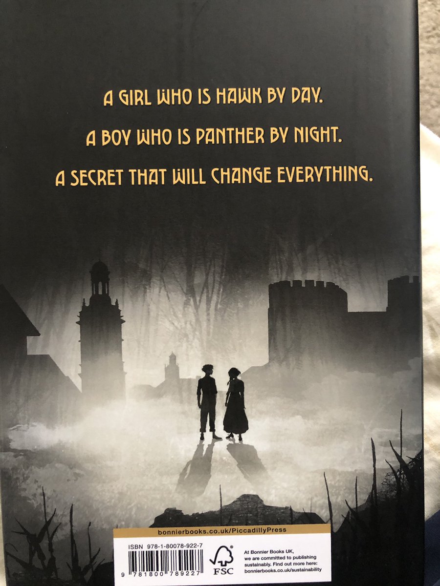 pynchonic's tweet photo. Just started this by Italian author Marta Palazzesi. Intriguing opening with fabulous illustrations by Ambra Garlaschelli https://t.co/7pGvqWlD1X