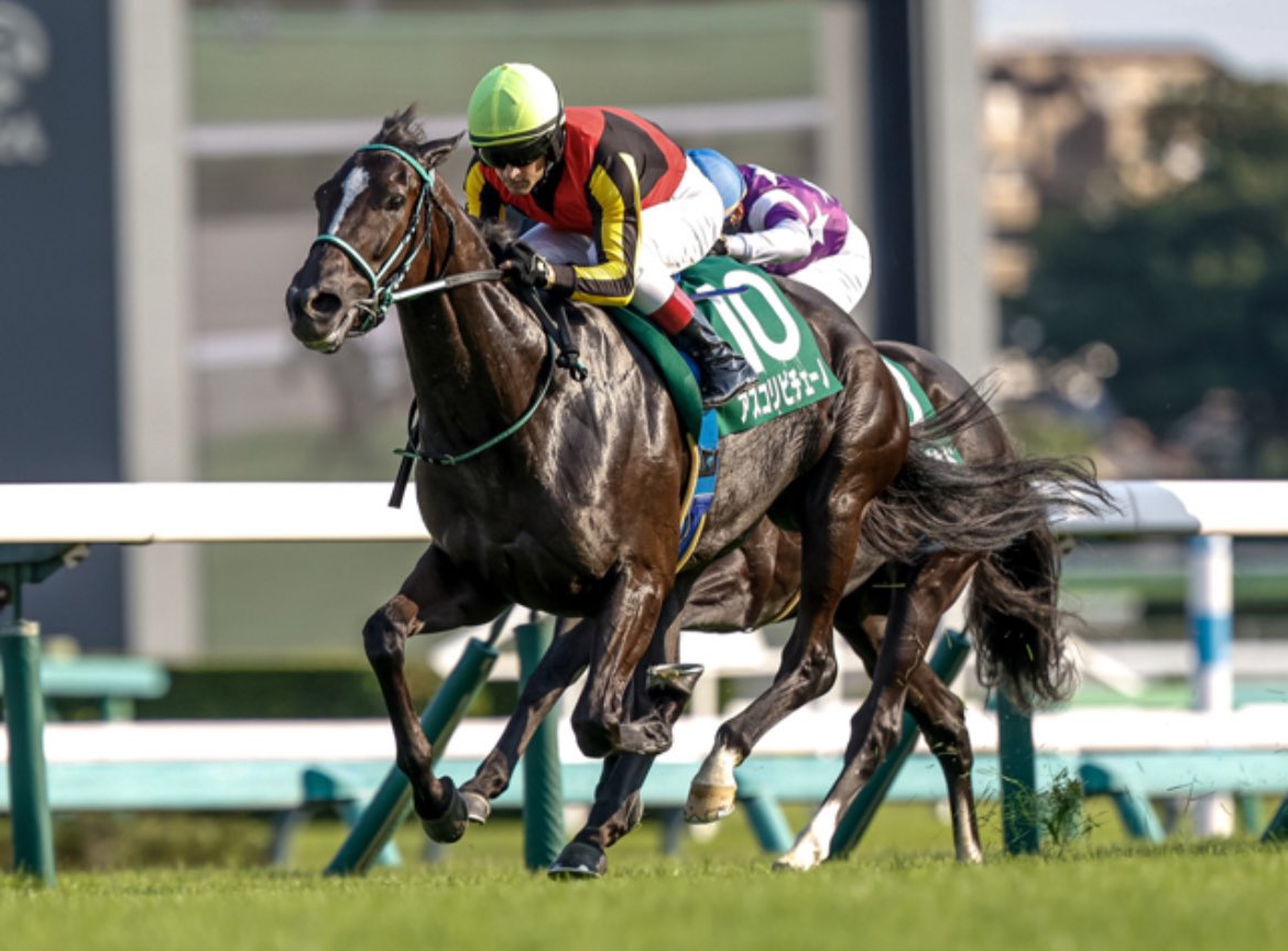 soumafactory's tweet photo. 9/8  #京成杯ＡＨ （Ｇ３）

24 重賞 9回目 的中🎯

応援馬券 #タイムトゥヘヴン

東スポの柴田善臣人生相談ってコーナーが好きで毎回読む。そしてタイムトゥヘヴンで過去にワイド９８倍を取った事があった。
人馬共に応援のつもりで買った馬券がまさかの的中
競馬は何があるかわからない

#柴田善臣 https://t.co/Ba6T1Ghiun