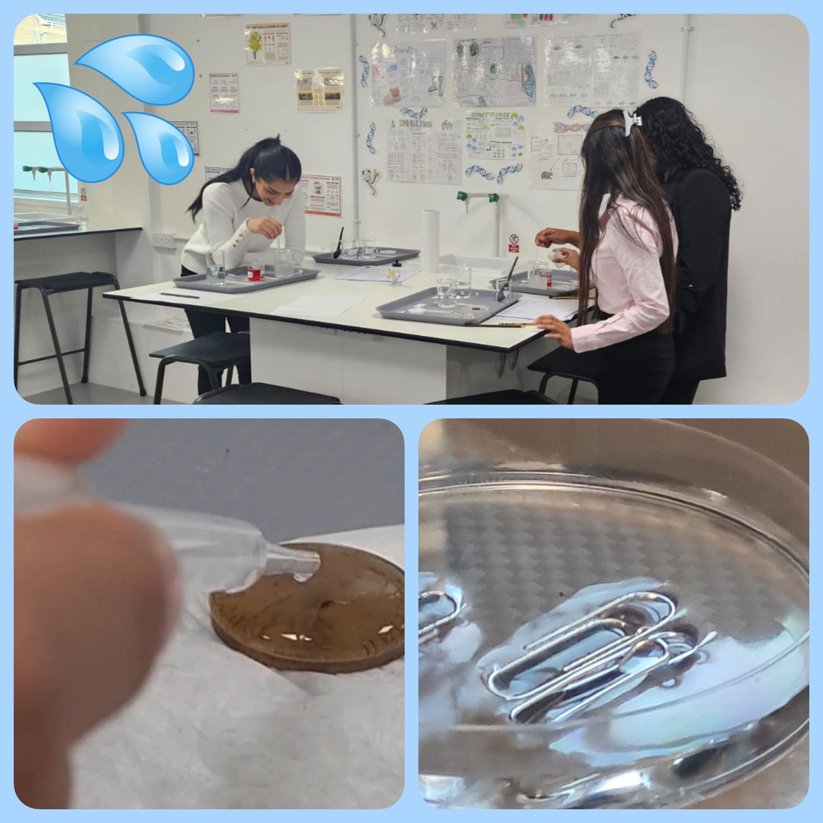 Science | St John's College, Cardiff tweet media