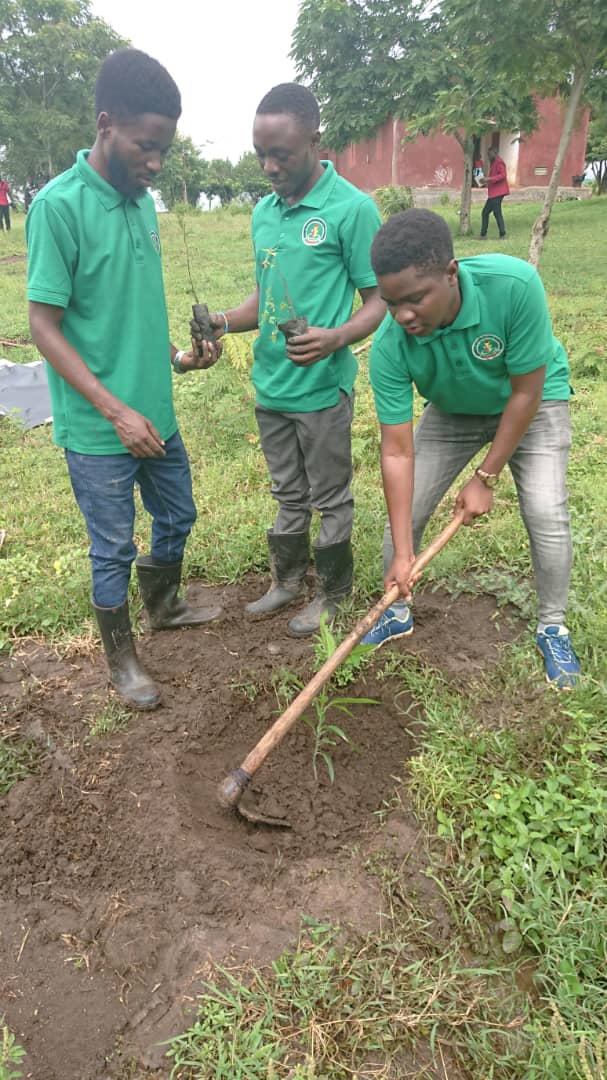 Kaseseyout7741's tweet photo. I want to hear from you how you have made a positive impact on the environment this week? Did you reduce waste, planting trees or encourage others to go green🌲🌳? Support your tree planting and conservation initiatives. 
@Kaseseyout7741
http: //kyioccom.wordpress.com https://t.co/rlQAiNrNzB