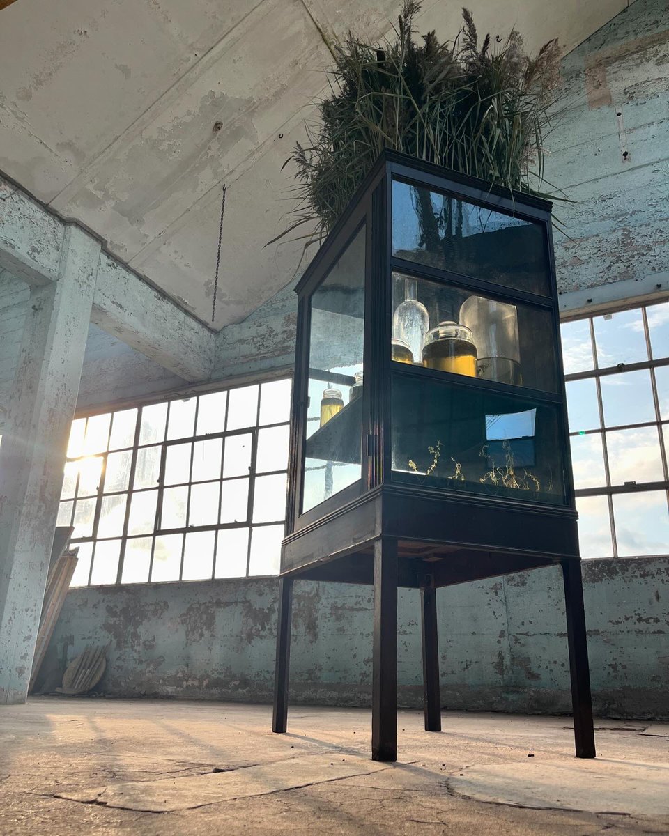 Duncan Cameron tweet media