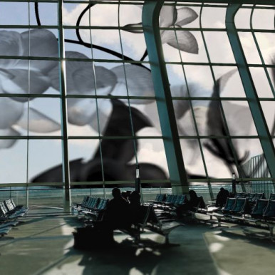 Videoscherm als zonwerend glas dlvr.it/TDXXcJ