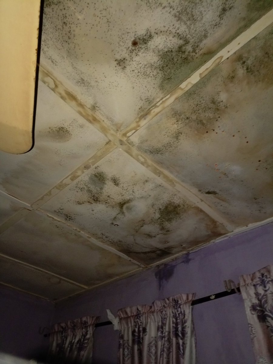 BlessedBle69855's tweet photo. @iam_degeneral1 1486744781 access bank, pls I need money to fix my leaking roof https://t.co/Aomawo5rix