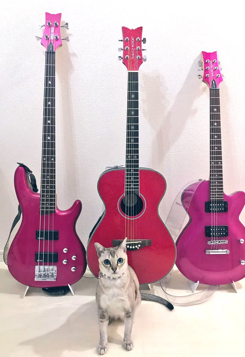 BAR_NOT_FOUND_'s tweet photo. 忙しくてXできてなくてごめん_| ̄|○
しかも急なんだけど
今日❣️
みんな大好きハーモニカ姉さん来るから歌いたい人、演奏したい人みんな待ってるね⤴︎🎵🎤😆🍺
#ミスチル好きと繋がりたい #missyou #MrChildren #桜井さん #NOT_FOUND
#NOTFOUND #ミスチル
#猫好きさんと繋がりたい𓏲𓎨
#猫のいる暮らし #ミスチル猫部
#ミスチルカラオケ #チルカラ #池袋
#毎日が #ミスチルパーティー #チルパ
#ミスチルバー #BAR_NOT_FOUND
#チル徹 #チル友 #ミスチル好き彼氏欲しい
#猫ドラマ #ギタリストルナ