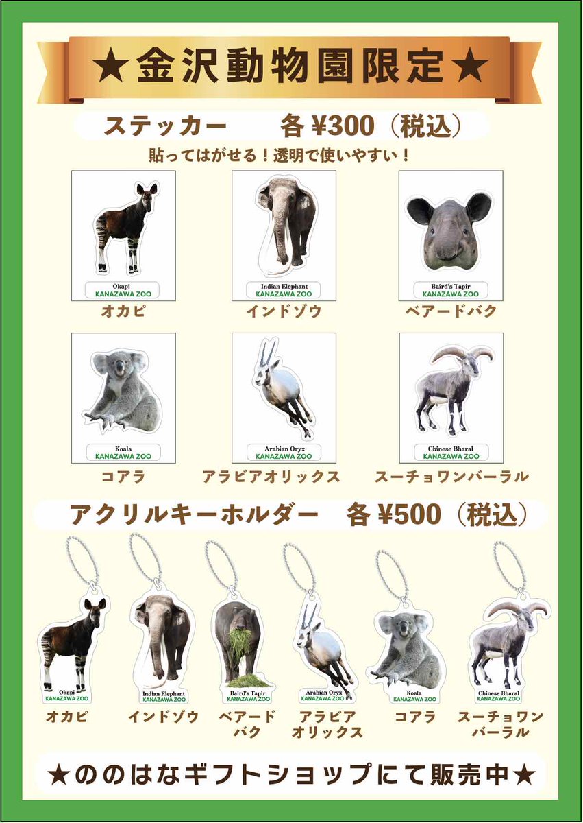 横浜市立金沢動物園【公式】 on X: 