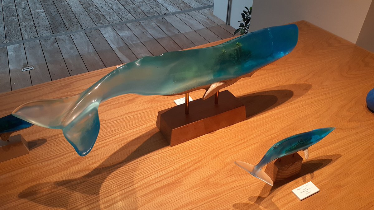 1202Hidekatsu's tweet photo. 山田勇魚さんの個展に行ってきました。
時間を間違えて2時間前に着いてしまったので原宿で時間をつぶして疲れた体にLINEの友だち追加サービスのソフトドリンクが染み渡りました。
場内の鯨の鳴き声にも癒されて素敵な展示会でした。
#山田勇魚
#SpaceWOW https://t.co/fdnGSs07YT