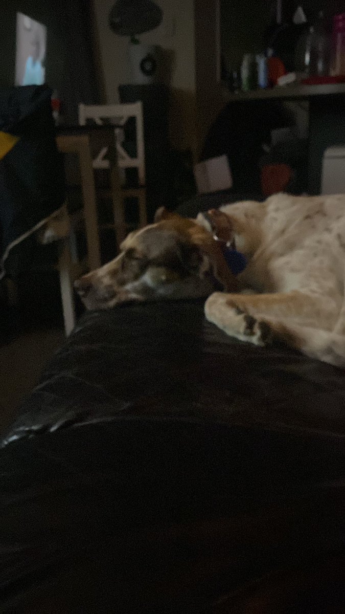 Shannon Leary tweet media