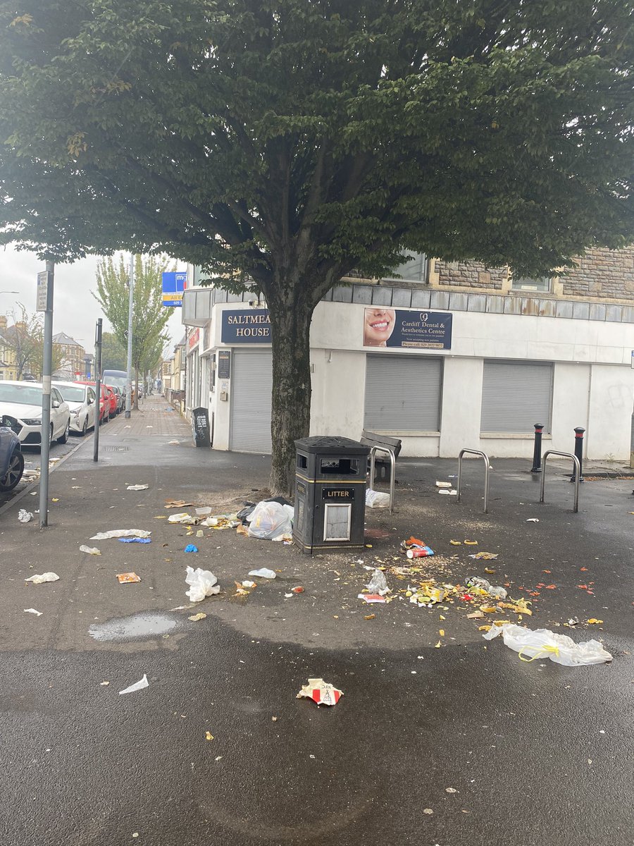 Mae angen mwy o finiau sbwriel a mwy o orfodi <a href="/cyngorcaerdydd/">Cyngor Caerdydd</a>
