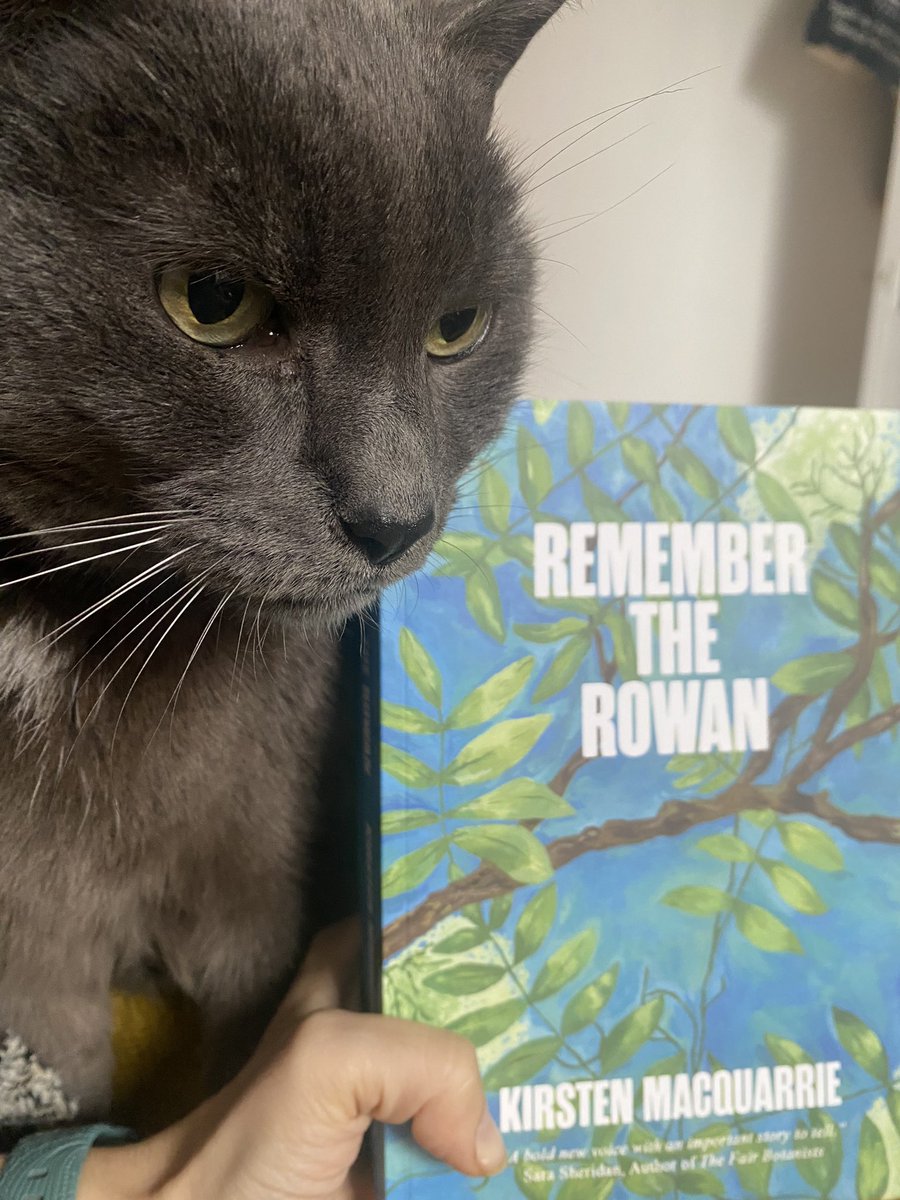 I wish you all a Sunday morning as cosy as mine 🍃 you’ll be happy to hear that Baloo has given a 5/5 ⭐️ review to Remember the Rowan, <a href="/GGallerina/">Kirsten MacQuarrie MCLIP</a> !