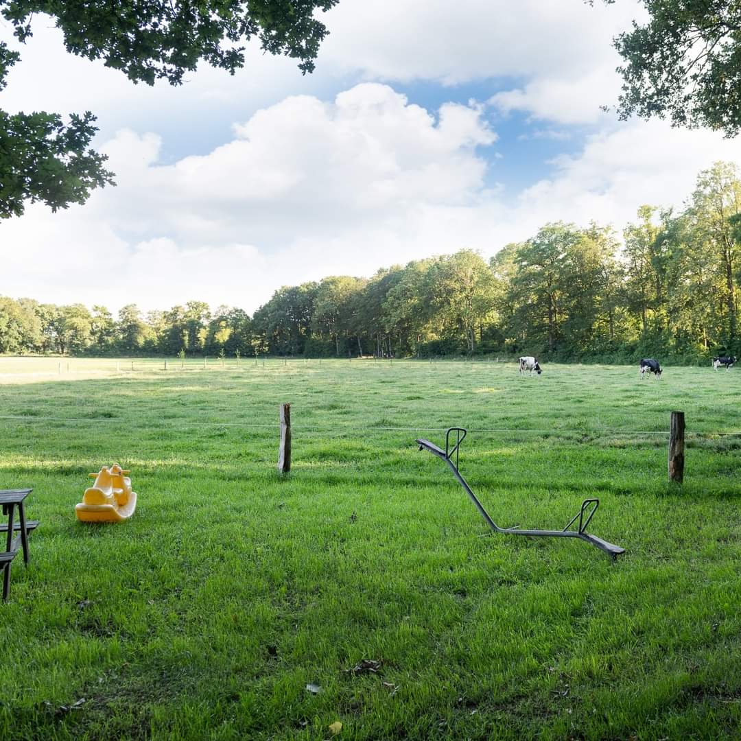ErveBroam's tweet photo. 🌿🏡 Teambuilding, vergaderen &amp; overnachten – Alles op één plek! ✨

Wanneer was de laatste keer dat je écht iets leuks deed met je team? Waarschijnlijk alweer een tijdje geleden... Hoog tijd voor een origineel en onvergetelijk bedrijfsuitje! 🥳 Een goede werksfeer is goud waard. https://t.co/uZbwp3rxaI