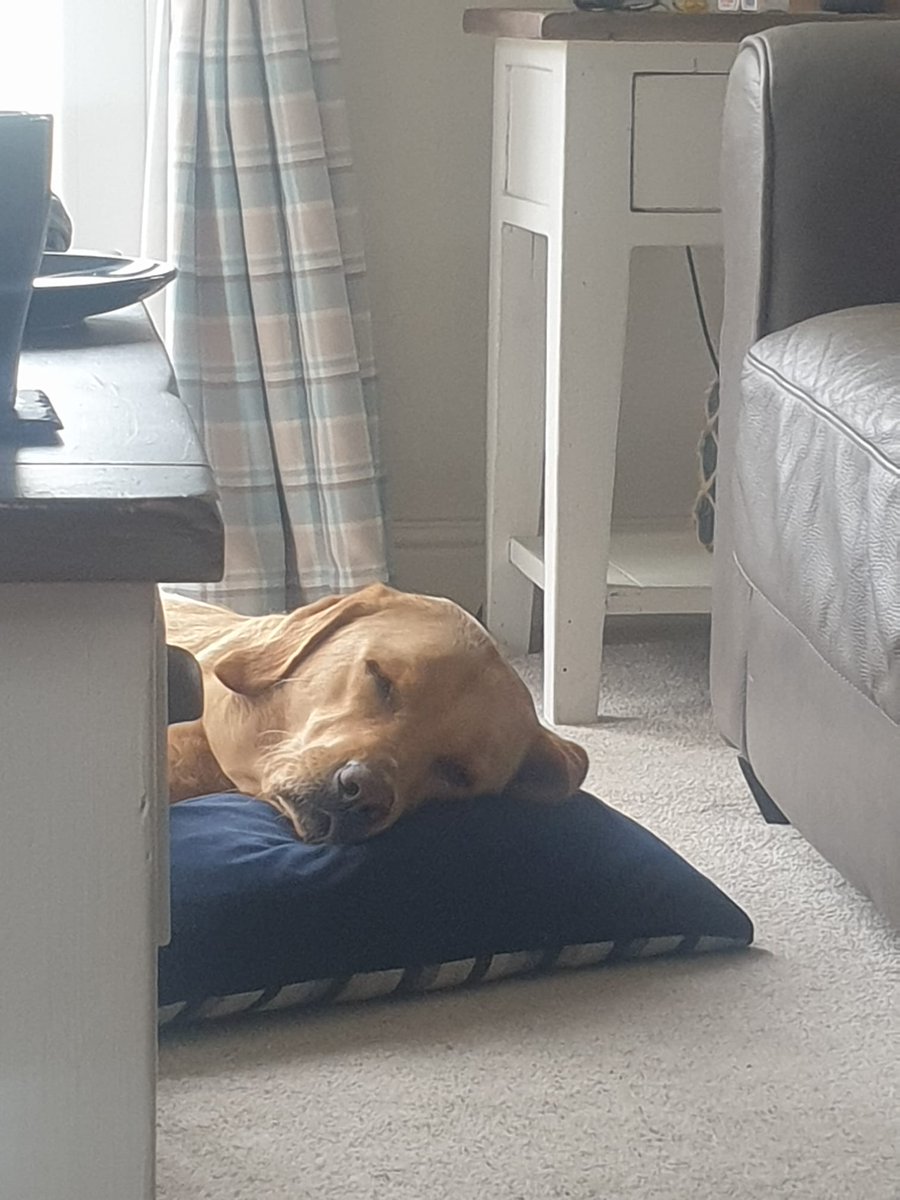 dan hickman tweet media