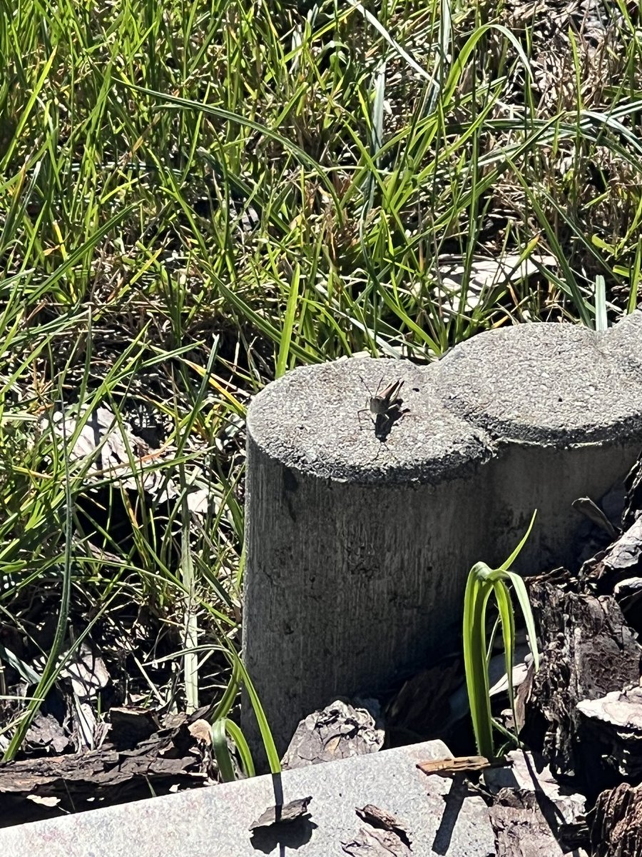 Monia Gorząch tweet media