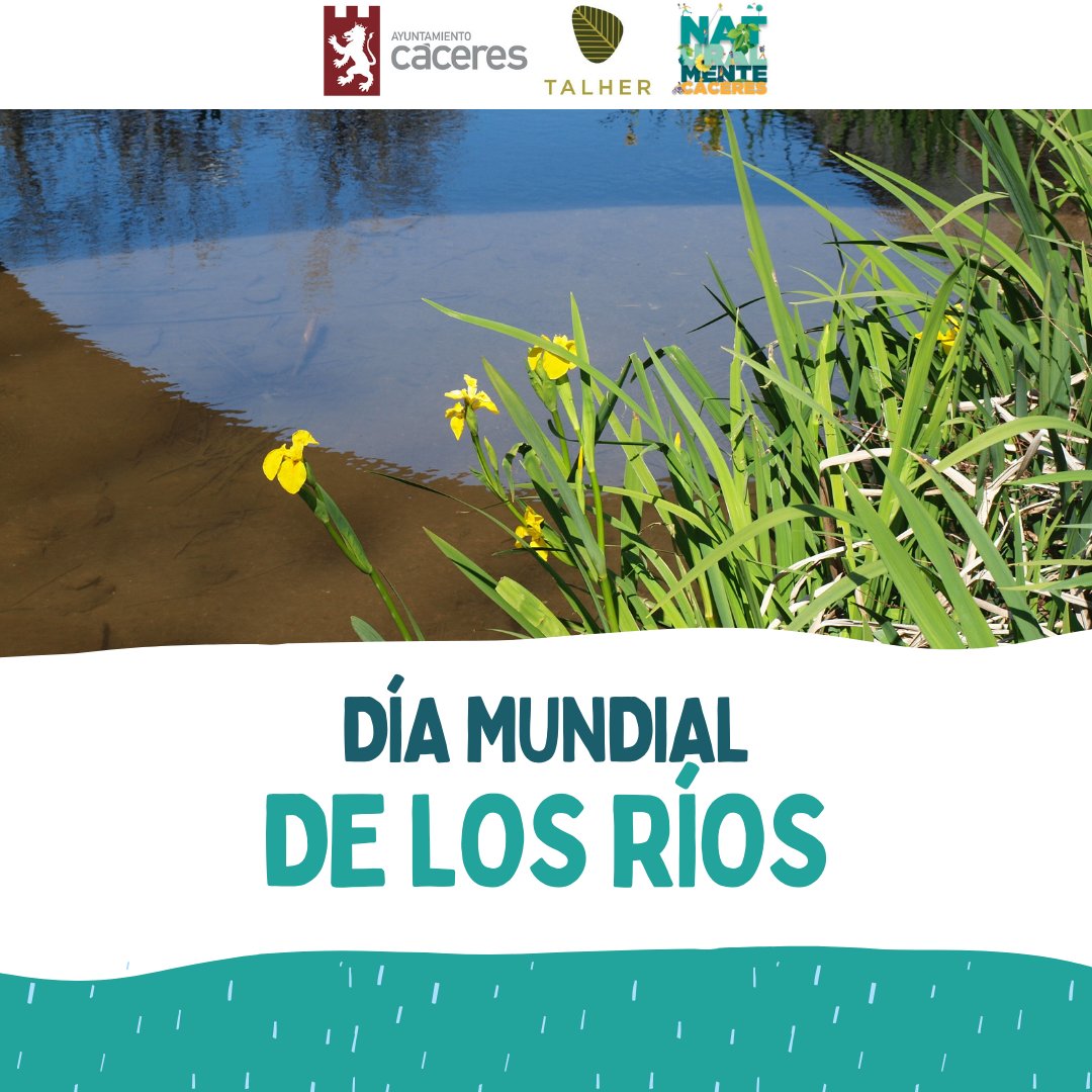 Hoy también es el #díaMundialdelosRíos y queremos poner en valor la importancia de preservar nuestros ríos. En Cáceres tenemos la suerte de contar con nuestra pequeña Ribera del Marco, espacio vital y biodiverso que tenemos que cuidar
<a href="/Ayto_Caceres/">Ayuntamiento Cáceres</a> <a href="/Talher_/">Talher</a>