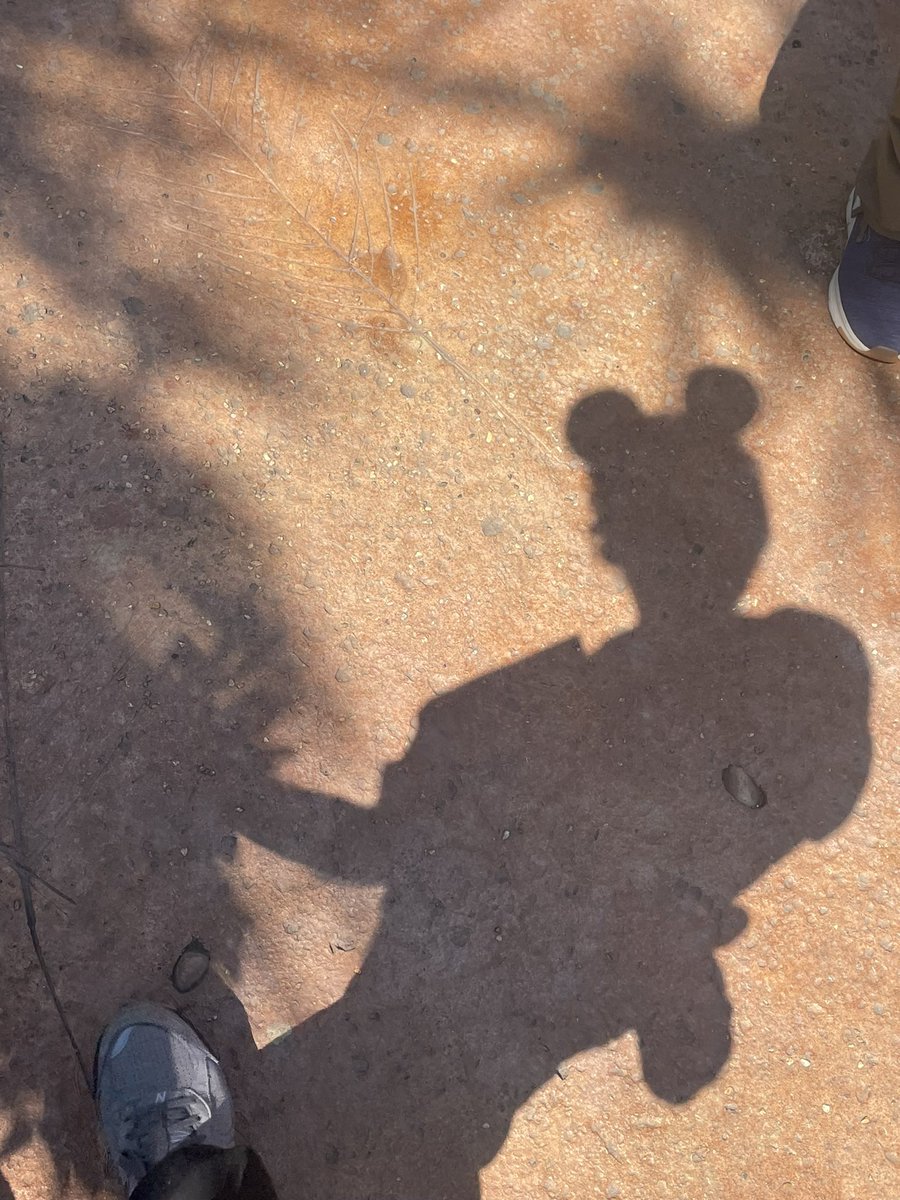 d_qt3apx's tweet photo. 高熱ディズニー🌞 https://t.co/KRfz1mcEYk