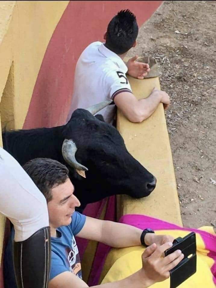 ALCALÁ TODAY tweet media