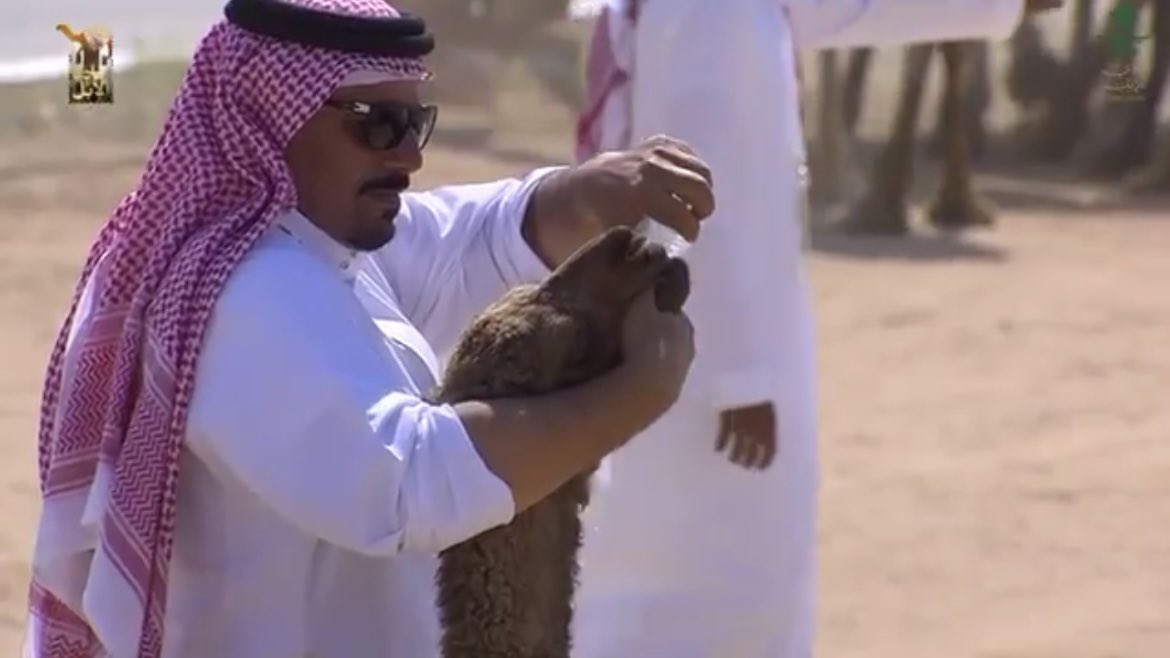 عبدالله بن ملحم tweet media