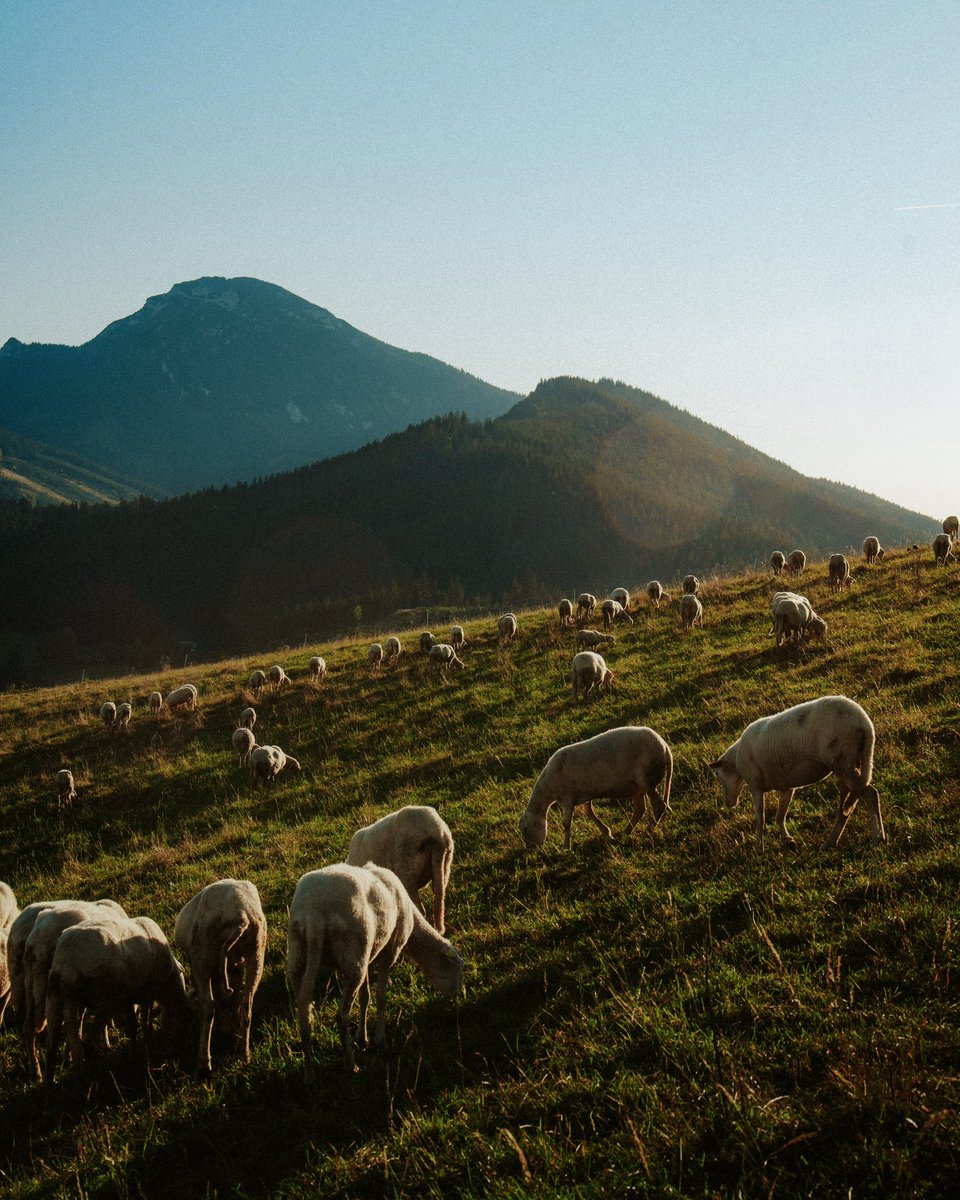 Słowacja zaliczon. 🚵 Planowanie trasy szosowego (podkreślam, szosowego) wypadu by <a href="/CzarekKukowka/">Czarek Kukowka</a>.